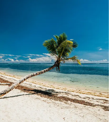 destinationsSection.destinations.seychelles